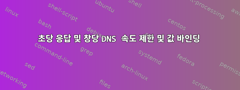 초당 응답 및 창당 DNS 속도 제한 및 값 바인딩