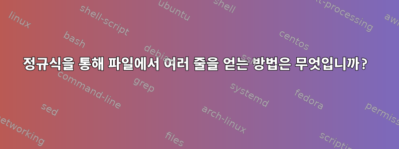 정규식을 통해 파일에서 여러 줄을 얻는 방법은 무엇입니까?