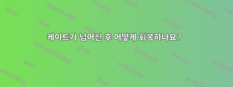 케이트가 넘어진 후 어떻게 회복하나요?