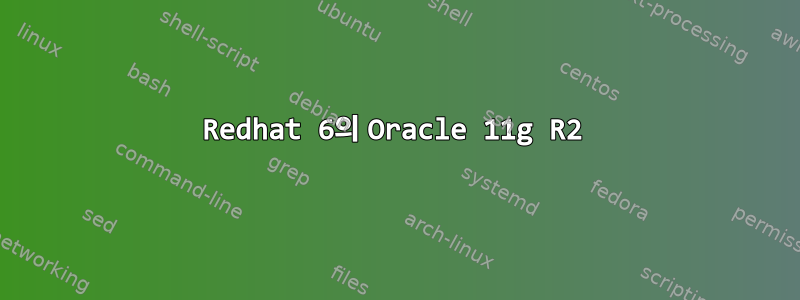 Redhat 6의 Oracle 11g R2