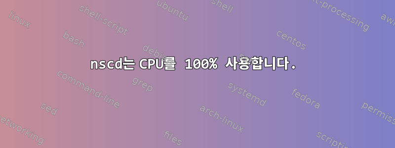 nscd는 CPU를 100% 사용합니다.