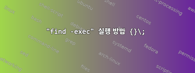 "find -exec" 실행 방법 {}\;