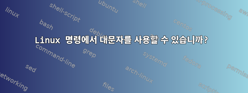 Linux 명령에서 대문자를 사용할 수 있습니까?