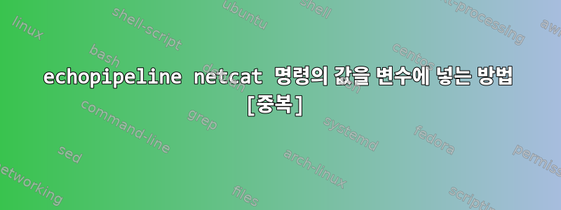 echopipeline netcat 명령의 값을 변수에 넣는 방법 [중복]