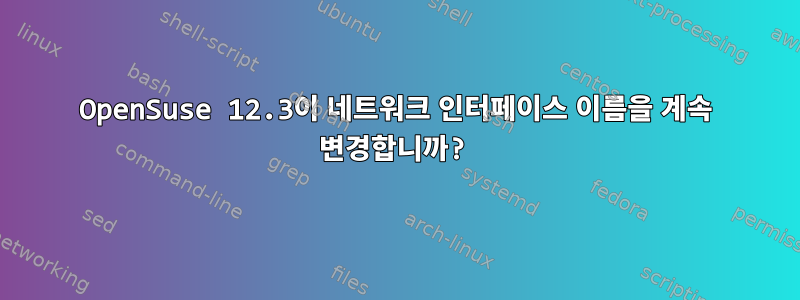 OpenSuse 12.3이 네트워크 인터페이스 이름을 계속 변경합니까?