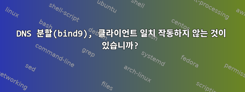 DNS 분할(bind9), 클라이언트 일치 작동하지 않는 것이 있습니까?