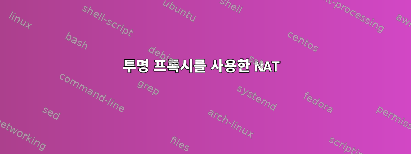 투명 프록시를 사용한 NAT