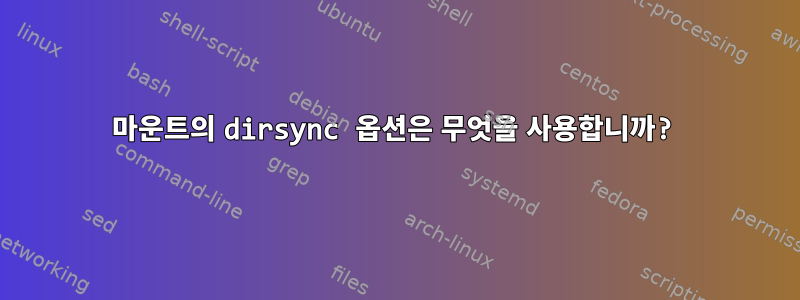 마운트의 dirsync 옵션은 무엇을 사용합니까?