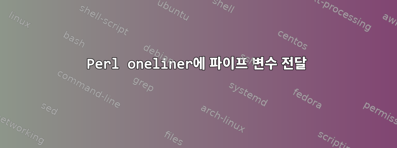 Perl oneliner에 파이프 변수 전달