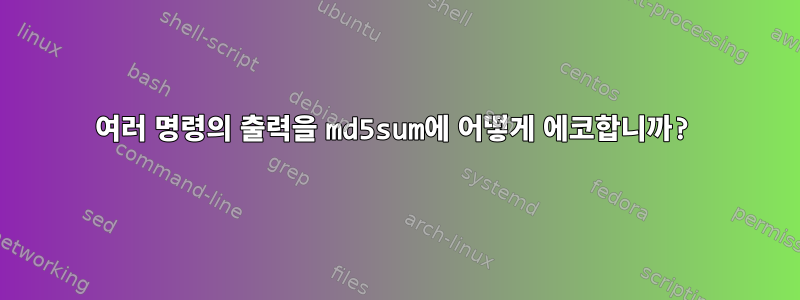 여러 명령의 출력을 md5sum에 어떻게 에코합니까?