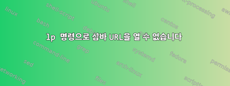 lp 명령으로 삼바 URL을 열 수 없습니다