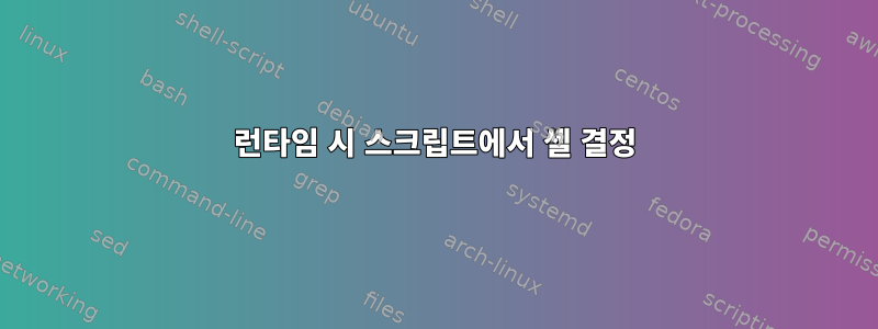 런타임 시 스크립트에서 셸 결정