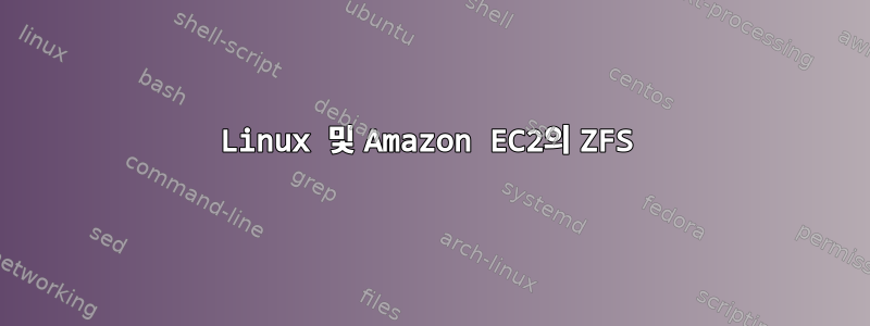 Linux 및 Amazon EC2의 ZFS