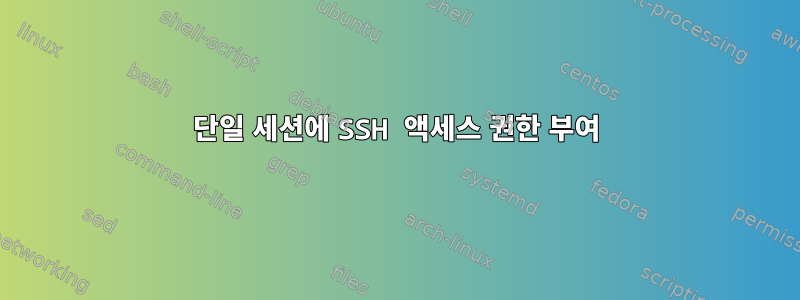 단일 세션에 SSH 액세스 권한 부여