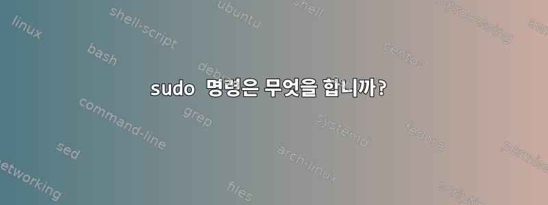 sudo 명령은 무엇을 합니까?