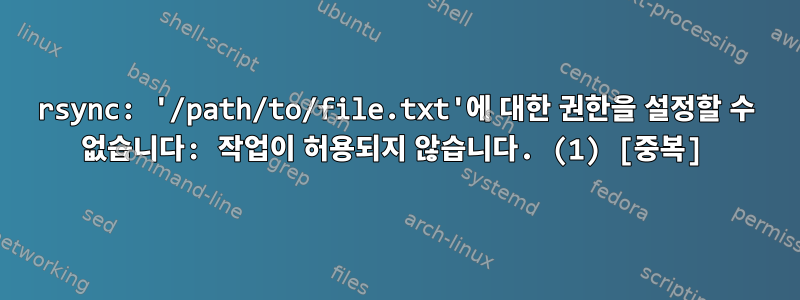 rsync: '/path/to/file.txt'에 대한 권한을 설정할 수 없습니다: 작업이 허용되지 않습니다. (1) [중복]