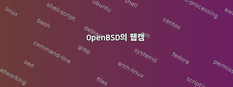 OpenBSD의 웹캠