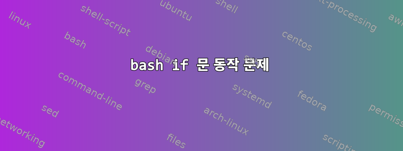 bash if 문 동작 문제