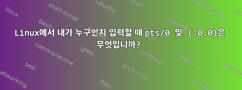 Linux에서 내가 누구인지 입력할 때 pts/0 및 (:0.0)은 무엇입니까?