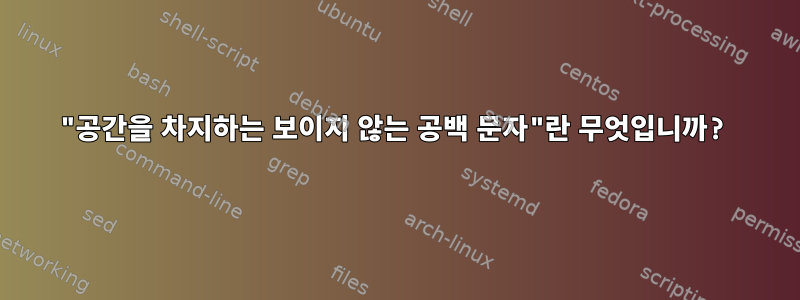 "공간을 차지하는 보이지 않는 공백 문자"란 무엇입니까?