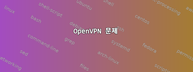 OpenVPN 문제