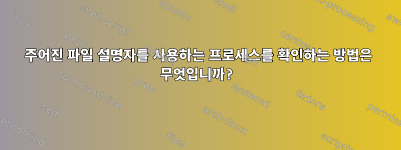 주어진 파일 설명자를 사용하는 프로세스를 확인하는 방법은 무엇입니까?