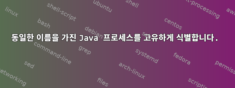 동일한 이름을 가진 Java 프로세스를 고유하게 식별합니다.