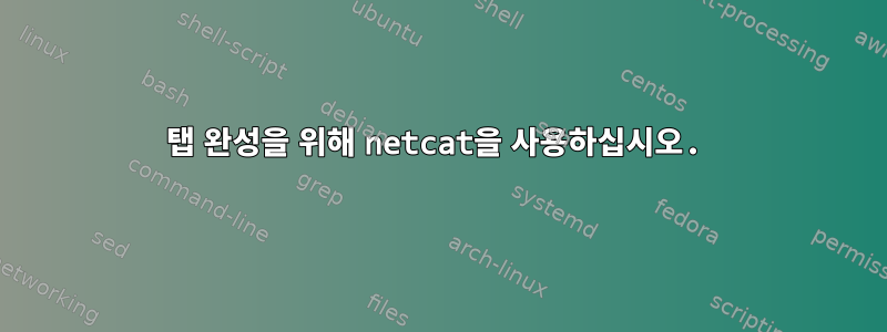 탭 완성을 위해 netcat을 사용하십시오.