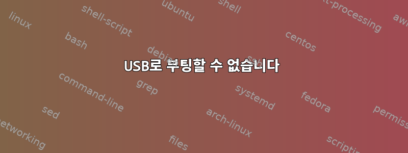 USB로 부팅할 수 없습니다