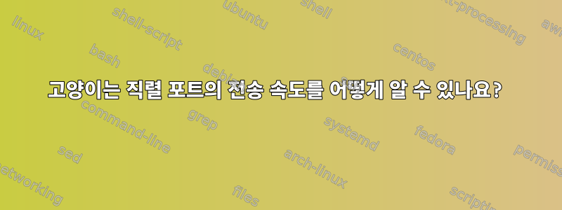 고양이는 직렬 포트의 전송 속도를 어떻게 알 수 있나요?