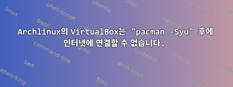 Archlinux의 VirtualBox는 "pacman -Syu" 후에 인터넷에 연결할 수 없습니다.