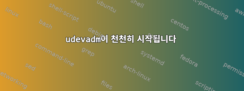 udevadm이 천천히 시작됩니다