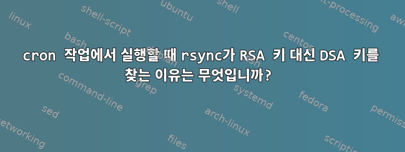 cron 작업에서 실행할 때 rsync가 RSA 키 대신 DSA 키를 찾는 이유는 무엇입니까?