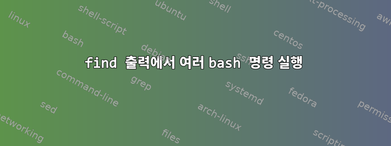 find 출력에서 ​​여러 bash 명령 실행