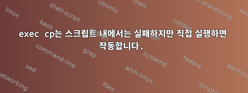 exec cp는 스크립트 내에서는 실패하지만 직접 실행하면 작동합니다.