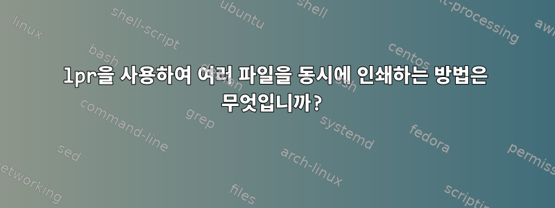 lpr을 사용하여 여러 파일을 동시에 인쇄하는 방법은 무엇입니까?