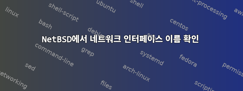 NetBSD에서 네트워크 인터페이스 이름 확인