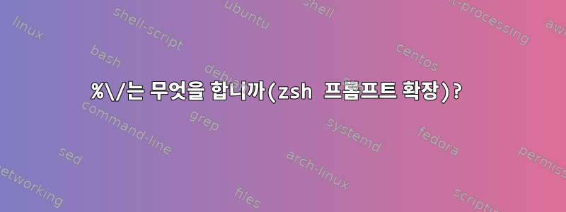 %\/는 무엇을 합니까(zsh 프롬프트 확장)?