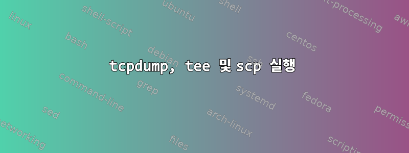 tcpdump, tee 및 scp 실행