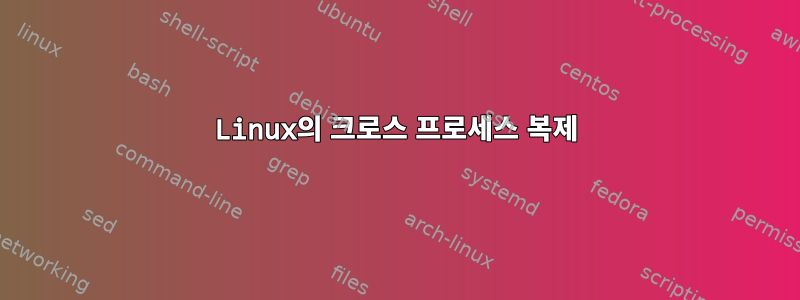 Linux의 크로스 프로세스 복제