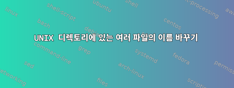 UNIX 디렉토리에 있는 여러 파일의 이름 바꾸기