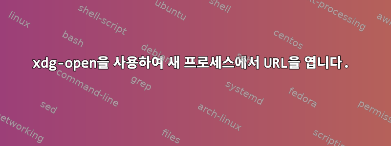 xdg-open을 사용하여 새 프로세스에서 URL을 엽니다.