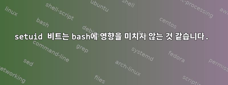 setuid 비트는 bash에 영향을 미치지 않는 것 같습니다.