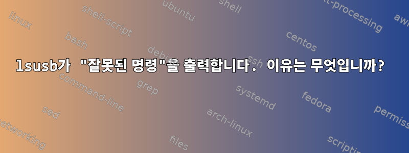 lsusb가 "잘못된 명령"을 출력합니다. 이유는 무엇입니까?