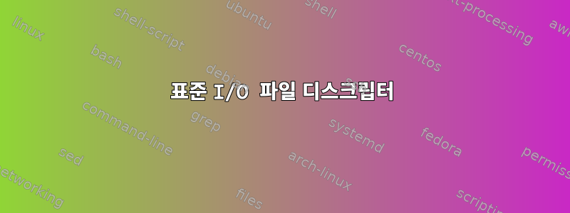 표준 I/O 파일 디스크립터