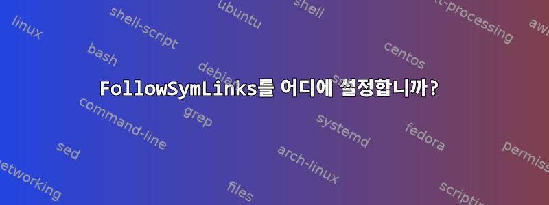 FollowSymLinks를 어디에 설정합니까?