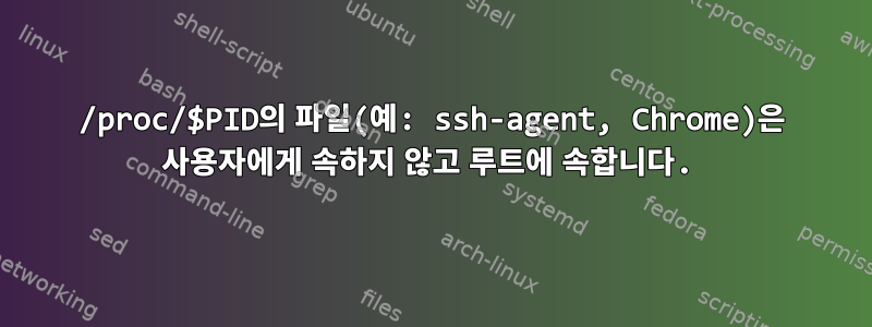 /proc/$PID의 파일(예: ssh-agent, Chrome)은 사용자에게 속하지 않고 루트에 속합니다.