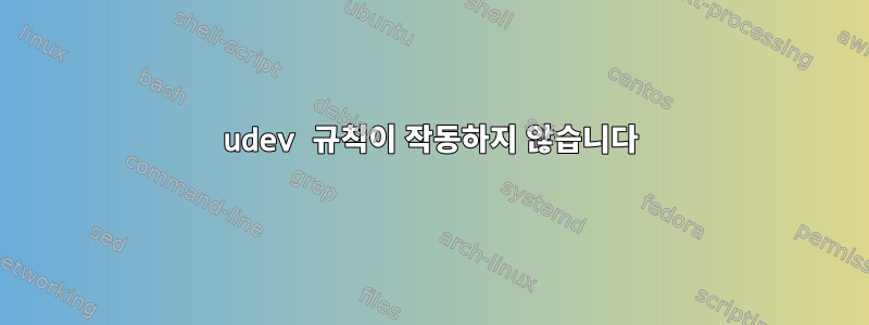 udev 규칙이 작동하지 않습니다