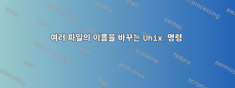 여러 파일의 이름을 바꾸는 Unix 명령