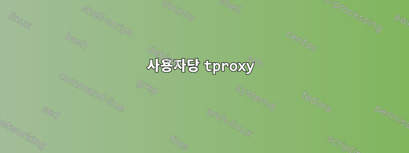 사용자당 tproxy